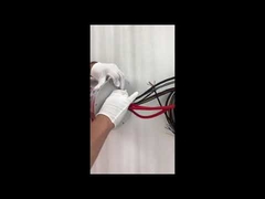 حلقه لغزشی اترنت ECN000-21P-06S-01EG